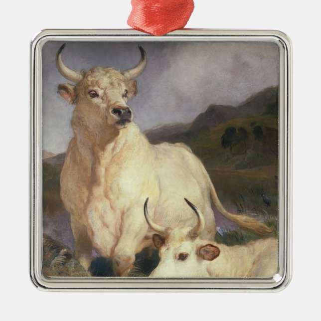 Ornamento De Metal Bovinos Selvagens de Chillingham (Frente)