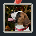Ornamento De Metal Boxer Natal<br><div class="desc">Cachorro branco e peludo com árvore de Natal no cão-de-fundo amou o ornamento de Natal</div>