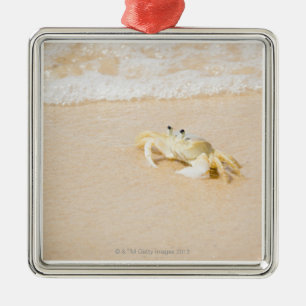 Ornamento De Metal Brasil, Rio de Janeiro, Buzios, caranguejo sobre