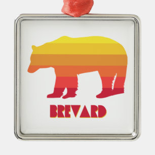Ornamento De Metal Brevard North Carolina Rainbow Bear