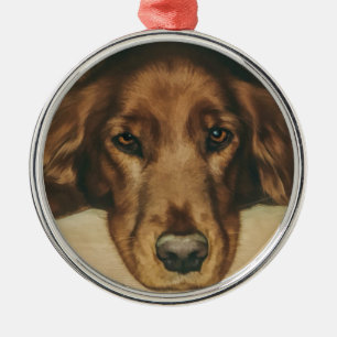 Ornamento De Metal Brown Eyed o cão irlandês dourado