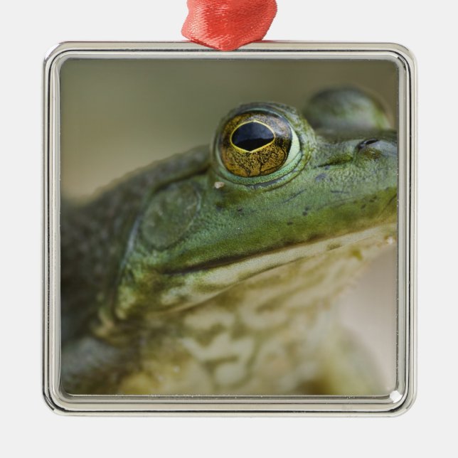 Ornamento De Metal Bufallo National River, Northwest Arkansas (Frente)