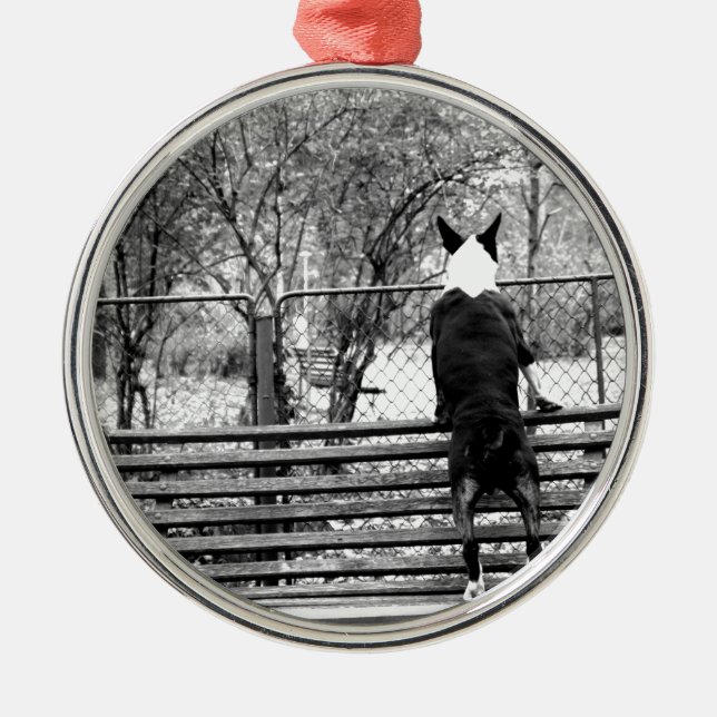Ornamento De Metal Bull terrier (Frente)