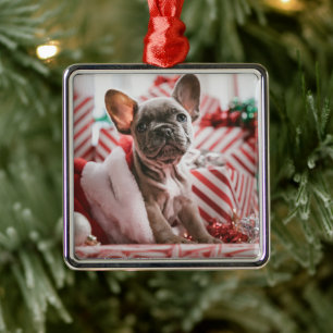 Ornamento De Metal Bulldog Francês no Chapéu de Natal
