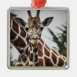 Ornamento De Metal Cabeça de girafa Impressão de pelo de girafa Anima