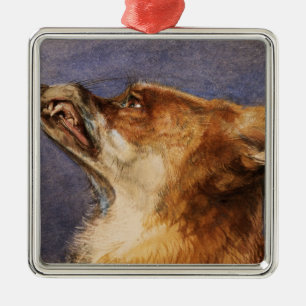 Ornamento De Metal Cabeça de um Fox