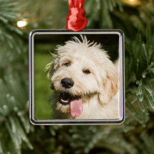 Ornamento De Metal Cachorro de Dourado