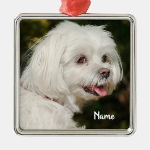 Ornamento De Metal Cachorro Mole Branco Personalizado Maltês
