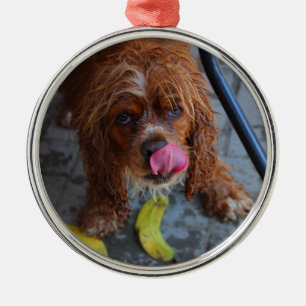 Ornamento De Metal Cachorro Molhado com Banana