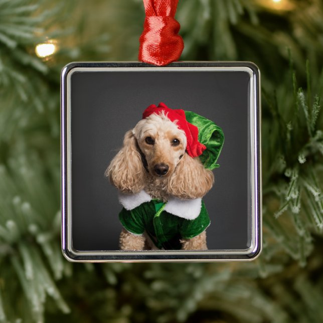 Ornamento De Metal Cachorro na Figurina de Elf (Árvore)