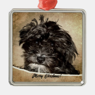 Ornamento De Metal Cachorro Schnoodle