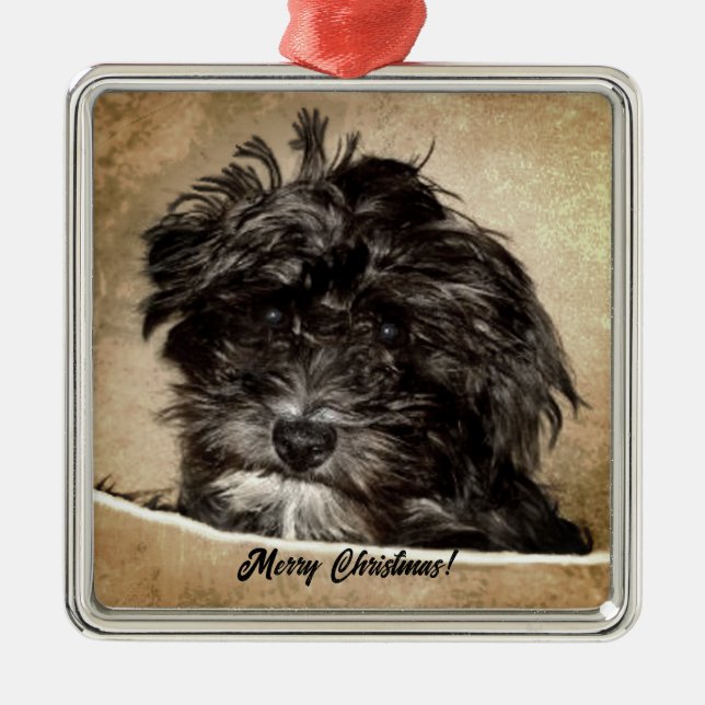 Ornamento De Metal Cachorro Schnoodle (Frente)