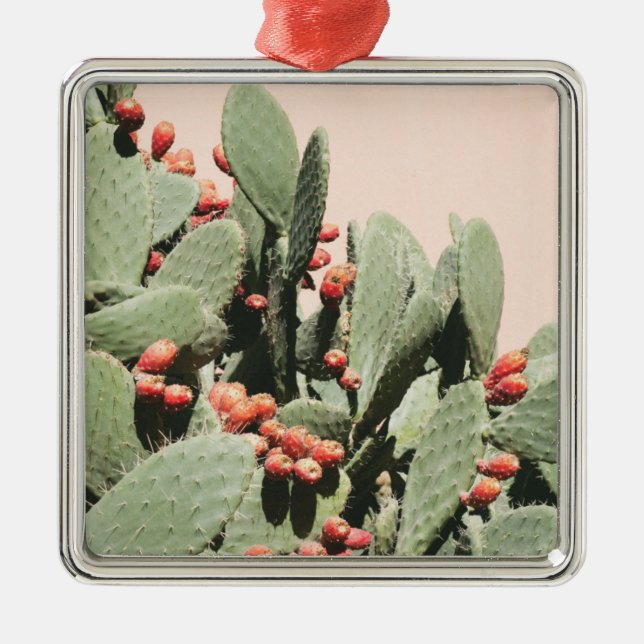 Ornamento De Metal Cacto da pera de Prickley (Frente)