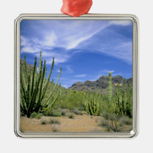 Ornamento De Metal Cacto do deserto no Monumento Nacional Organ Pipe,