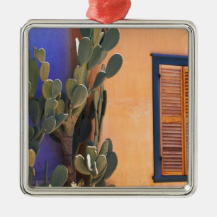 Ornamento De Metal Cacto do sudoeste (Opuntia dejecta) e