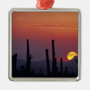 Ornamento De Metal Cacto Saguaro Carnegiea gigantea), Pôr do sol,