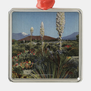 Ornamento De Metal Cactos de CaliforniaYucca na flor no deserto