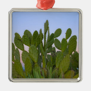 Ornamento De Metal Cactos e sisal na Floresta Seca