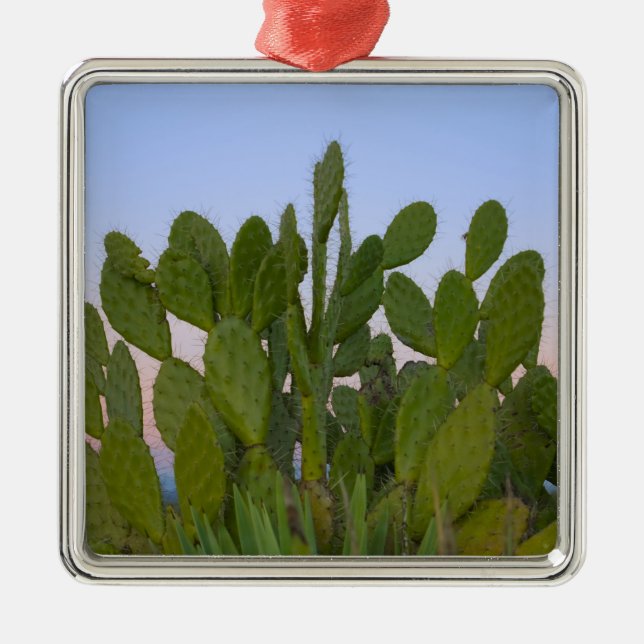 Ornamento De Metal Cactos e sisal na Floresta Seca (Frente)