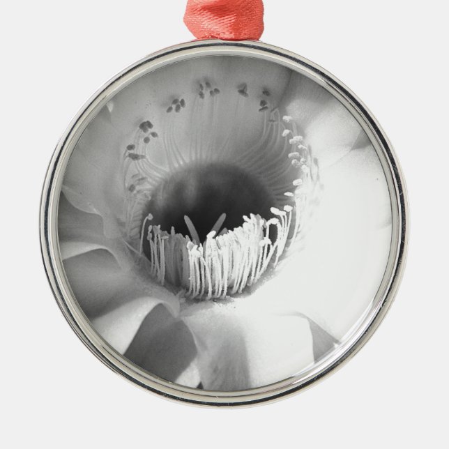 Ornamento De Metal Cactus Flower in Black and White #succult (Frente)