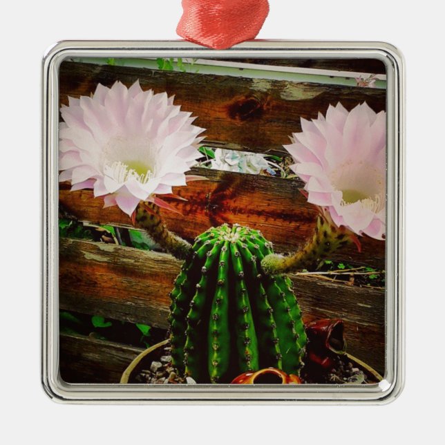Ornamento De Metal Cactus sangrando #suculento (Frente)