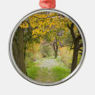 Ornamento De Metal Caminho no Outono