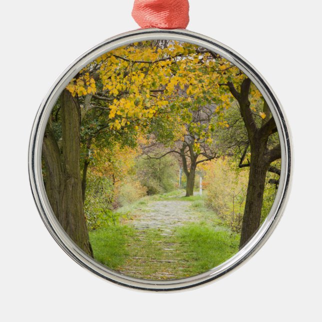 Ornamento De Metal Caminho no Outono (Frente)