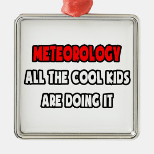 Ornamento De Metal Camisas e presentes meteorologistas engraçados