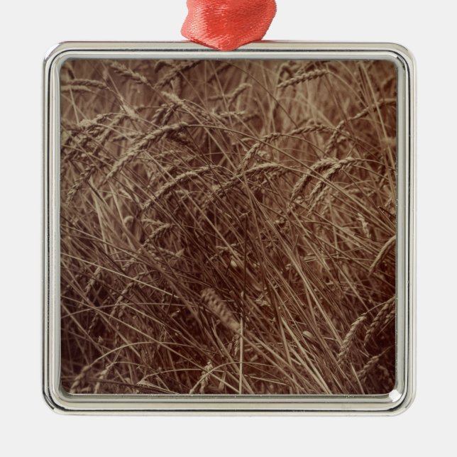 Ornamento De Metal Campo de trigo (por Eugène Atget) (Frente)