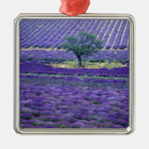 Ornamento De Metal Campos de lavanda, Vence, Provence, França