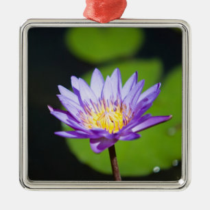 Ornamento De Metal Cancun, México