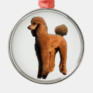Ornamento De Metal caniche vermelha