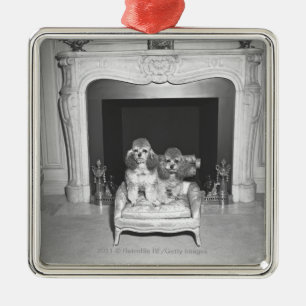 Ornamento De Metal Caniches diminutas que sentam-se na frente da