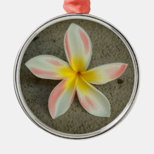 Ornamento De Metal Canteiro vermelho plumeria Hawaii