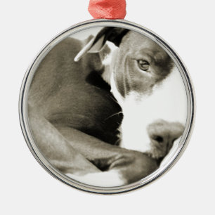 Ornamento De Metal cão de cabra preguiçoso e bonito