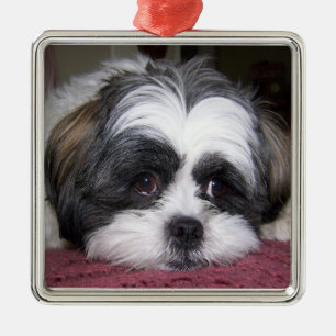 Ornamento De Metal Cão de Shih Tzu