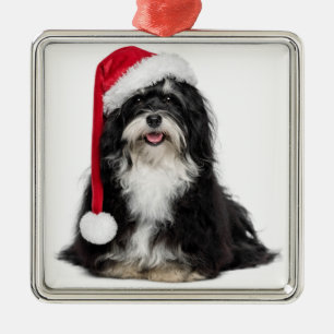 Ornamento De Metal Cão engraçado de Havanese do Natal com chapéu do