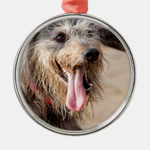 Ornamento De Metal Cão feliz em uma praia