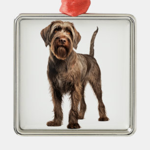 ORNAMENTO DE METAL CÃO GRIFFON COM PONTO WIREHAIRED