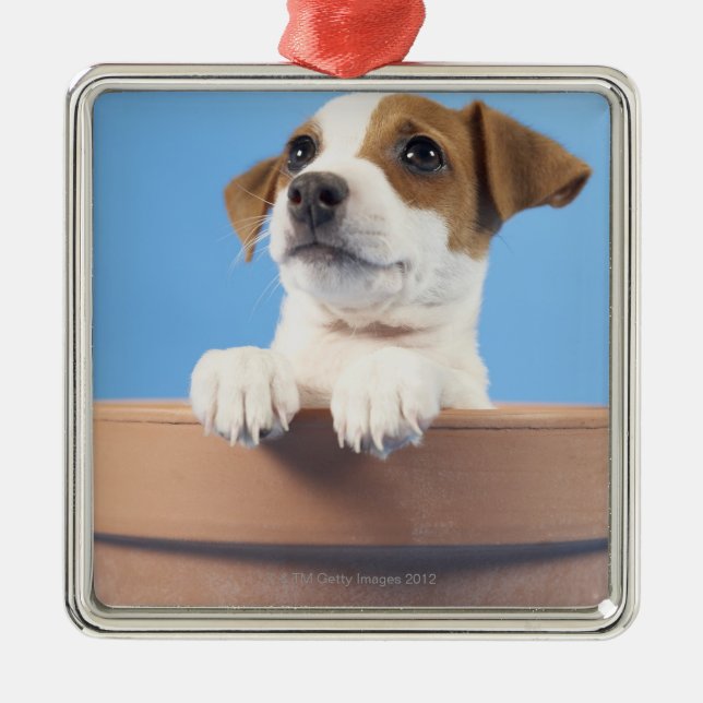 Ornamento De Metal Cão no flowerpot (Frente)