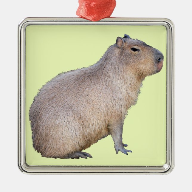 Ornamento De Metal Capybara (Frente)
