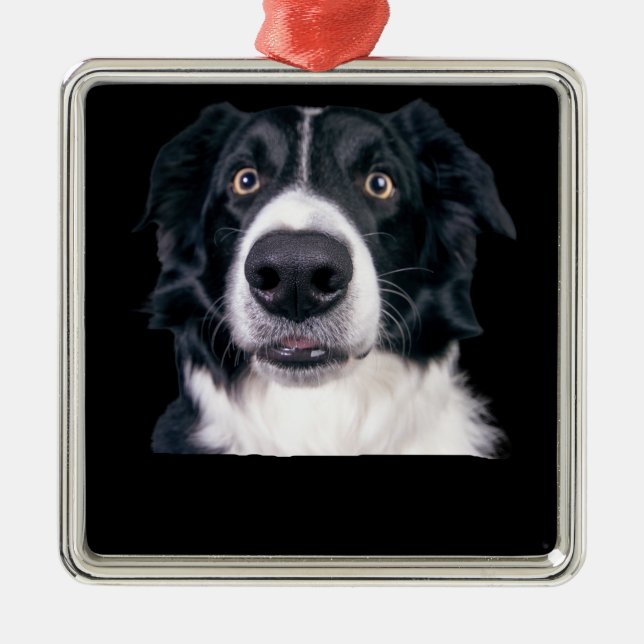 Ornamento De Metal Cara de Cachorro Preto e Branco (Frente)