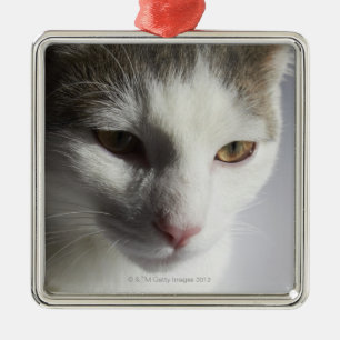 Ornamento De Metal Cara de um gato