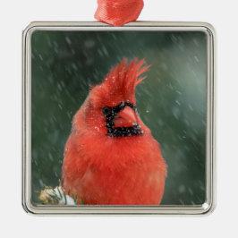 Ornamento De Metal Cardeal num pinheiro durante uma tempestade de nev