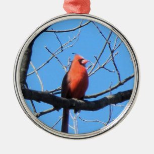 Ornamento De Metal Cardinal
