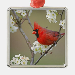 Ornamento De Metal Cardinal-do-norte