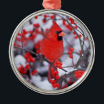 Ornamento De Metal Cardinal-vermelho macho, Inverno, IL<br><div class="desc">Cardinal-vermelho (Cardinalis cardinalis) macho em Azevinho Comum (Ilex verticillata) no inverno, Marion, IL | Richard & Susan Day / SuperStock.com</div>