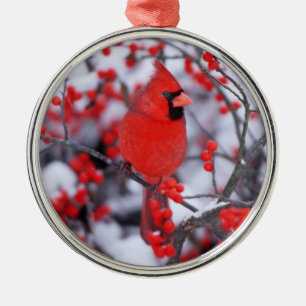 Ornamento De Metal Cardinal-vermelho macho, Inverno, IL