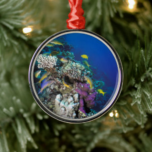 Ornamento De Metal Cardumes de Salmonete em torno de pequeno coral