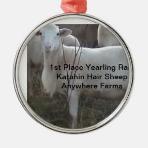 Ornamento De Metal Carneiros do cabelo de Katahin